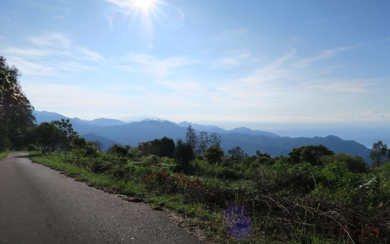 Sealed mountain road curving through green hills on Flores
