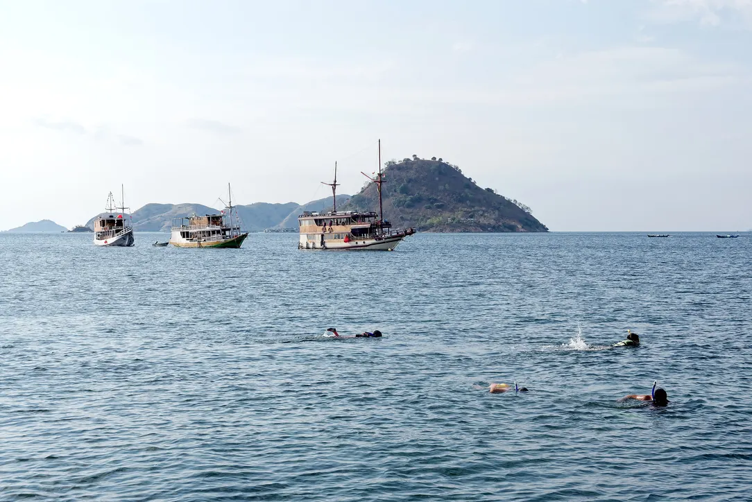 Snorkeller floating above a shallow reef in clear water off Flores