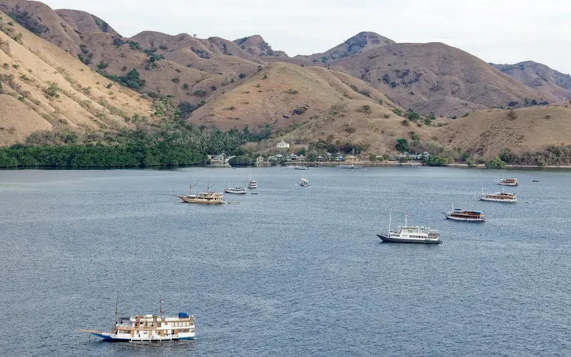 Bay full of moored boats below dry savannah hills