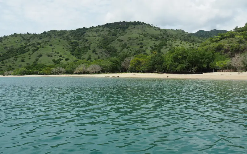Green island rising above turquoise shallows