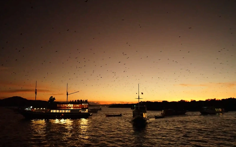 Boats silhouetted at sunset with bats overhead