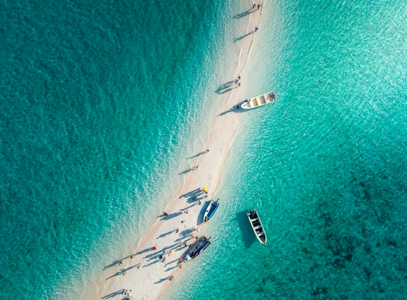 Comparing Komodo Liveaboards: Cabins, Decks and Inclusions