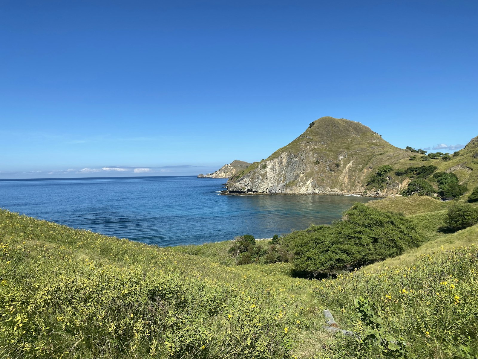 Family Trips to Riung and Komodo: Kids, Safety and Pace
