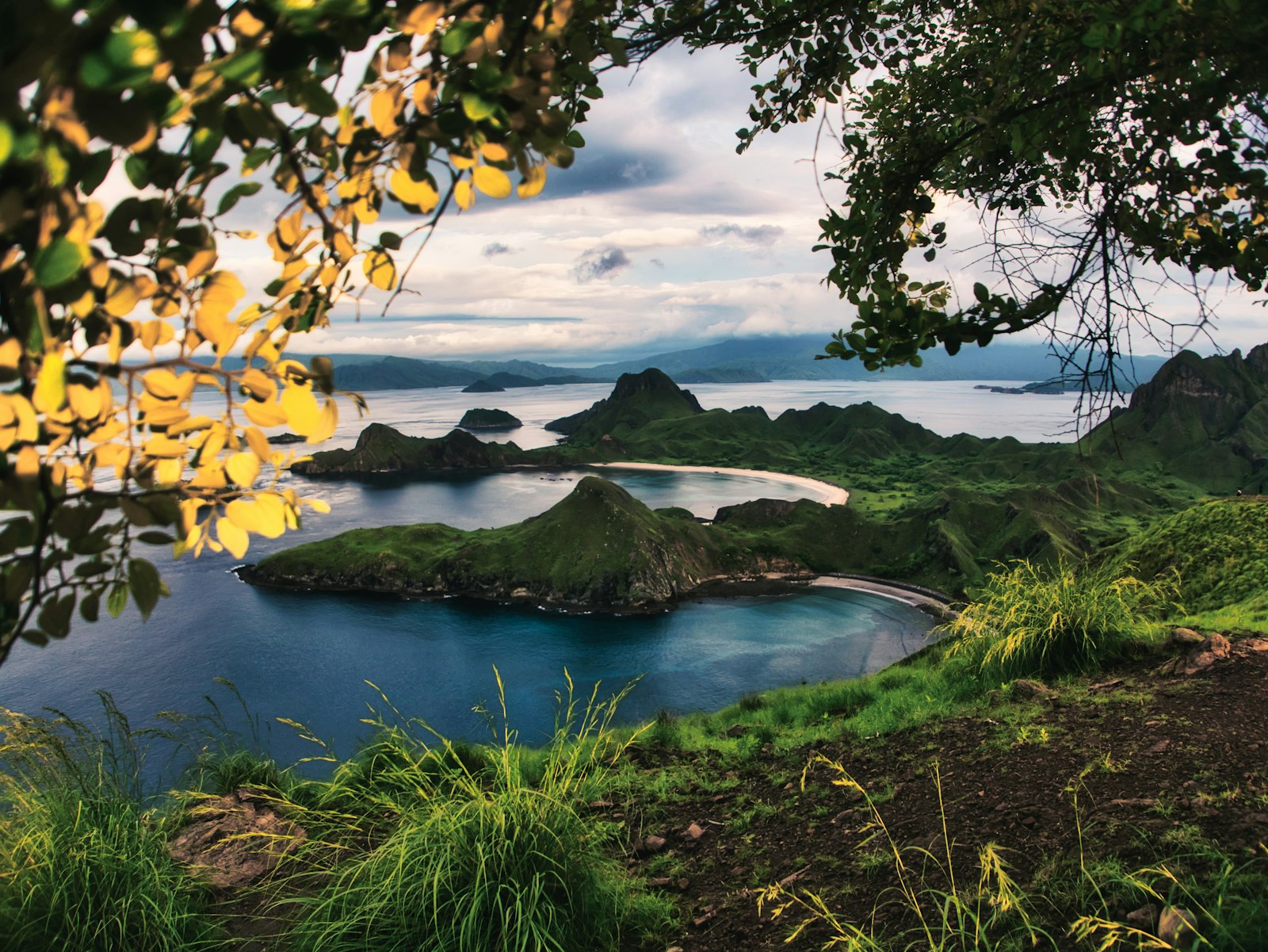 Bali to Flores: Transit, Levy and Planning Rules