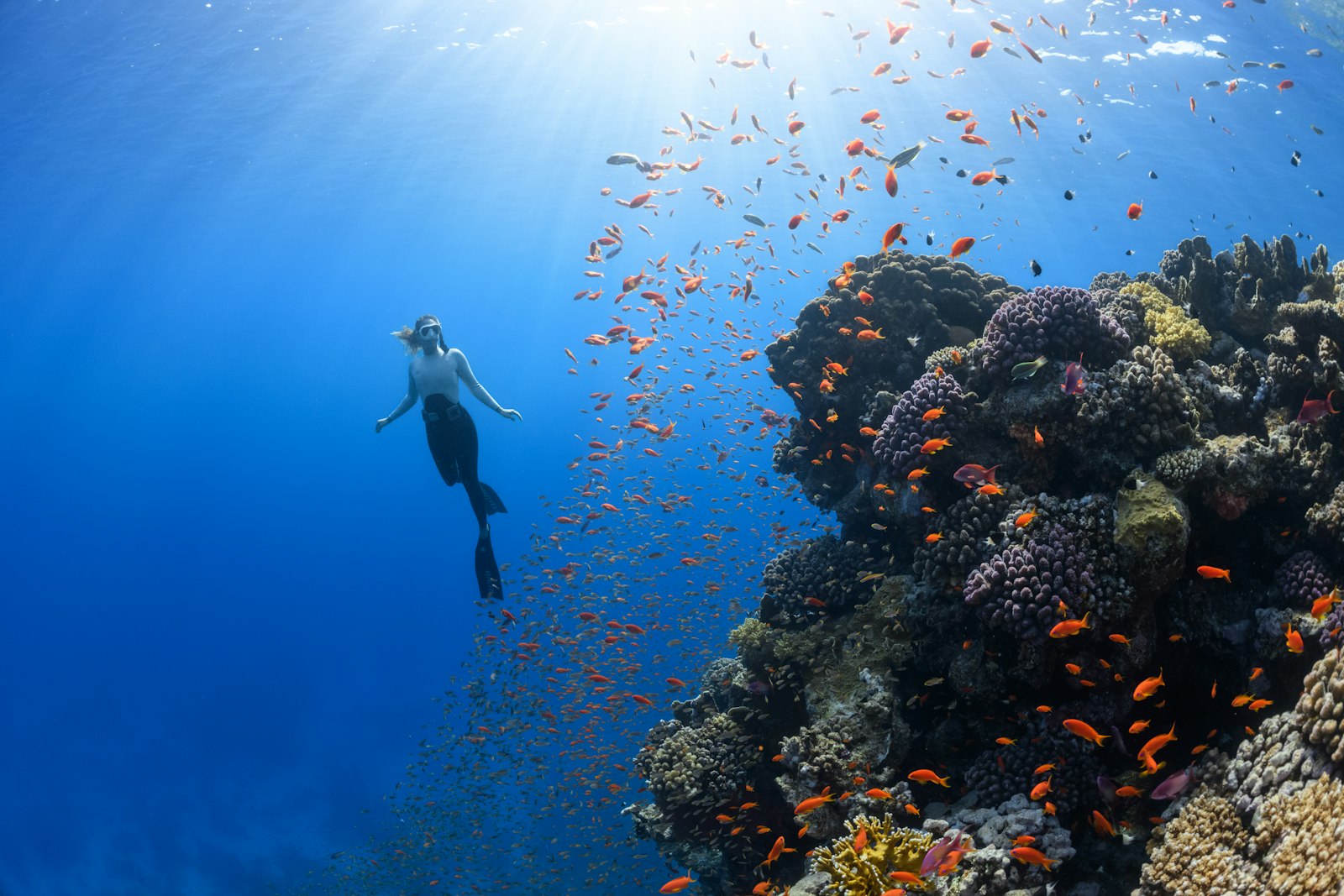 Coral Bleaching and Climate Pressure on Riung Reefs