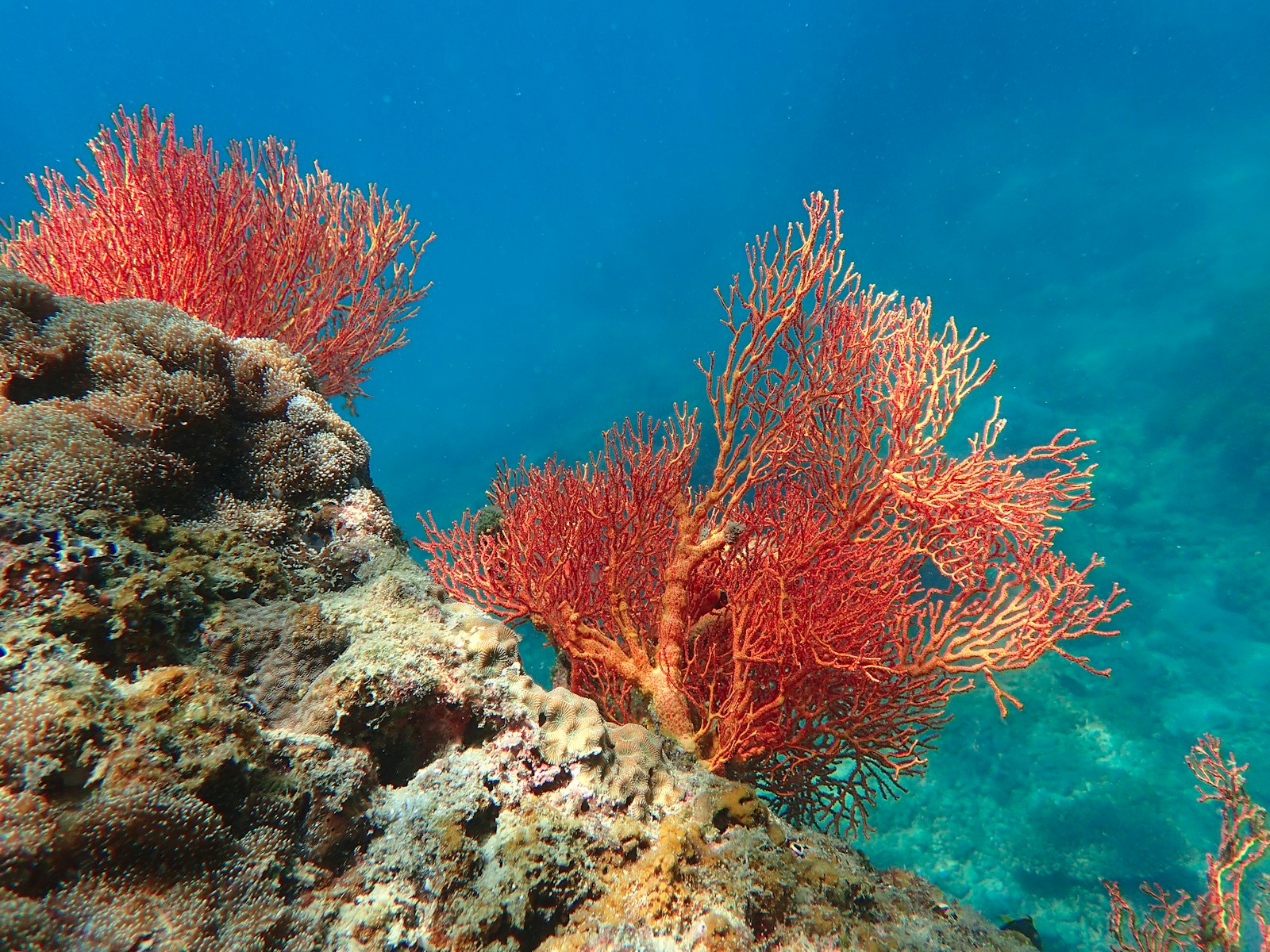 The Rise of Eco-Tourism in Riung Flores: A 2027 Perspective