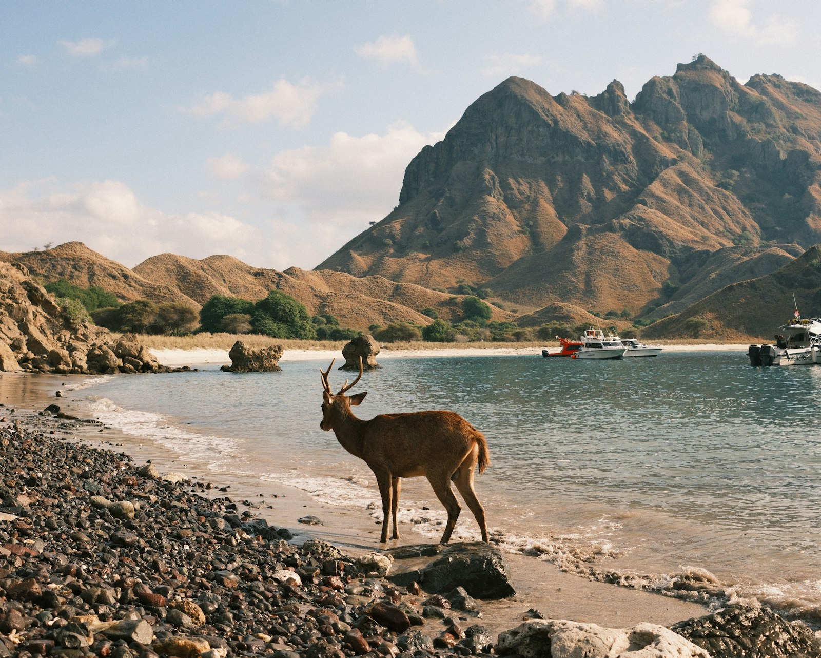 Labuan Bajo to Riung: Road, Time and the Real Drive